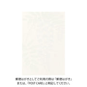 Midori Tarjeta de postales con wisteria — foto 2