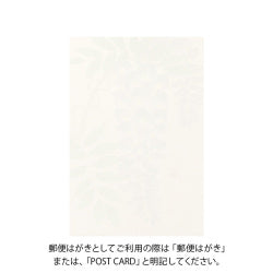 Midori Tarjeta de postales con wisteria — foto 2