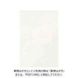 Midori Tarjeta de postales con hibisco — foto 2