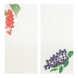 Midori bloc para mensajes — Frutos de invierno — foto 2