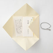 Midori Conjunto de Sobre Funerario Blanco — foto 8