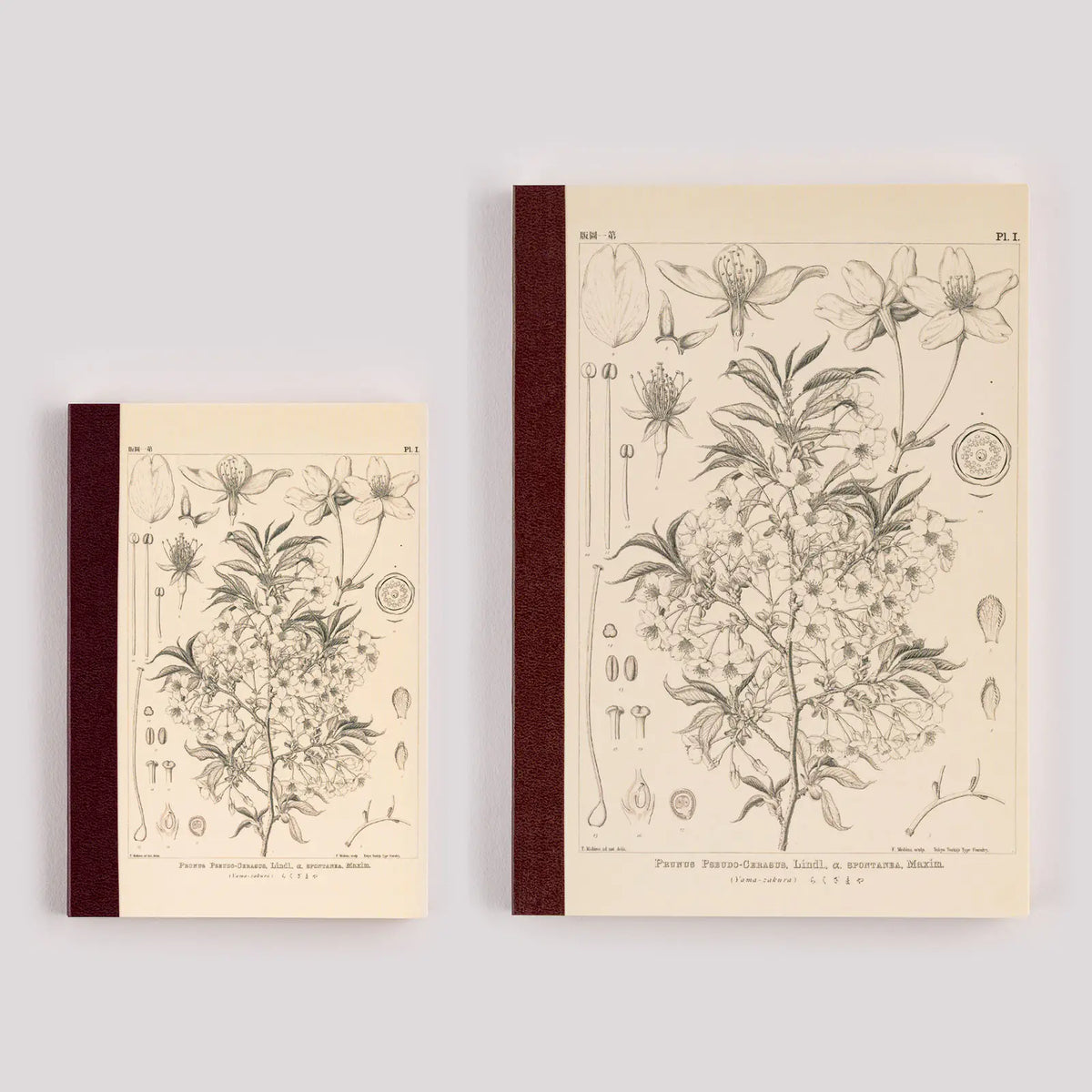 Agenda Hobonichi Graph Notebook - Yamazakura — foto 1