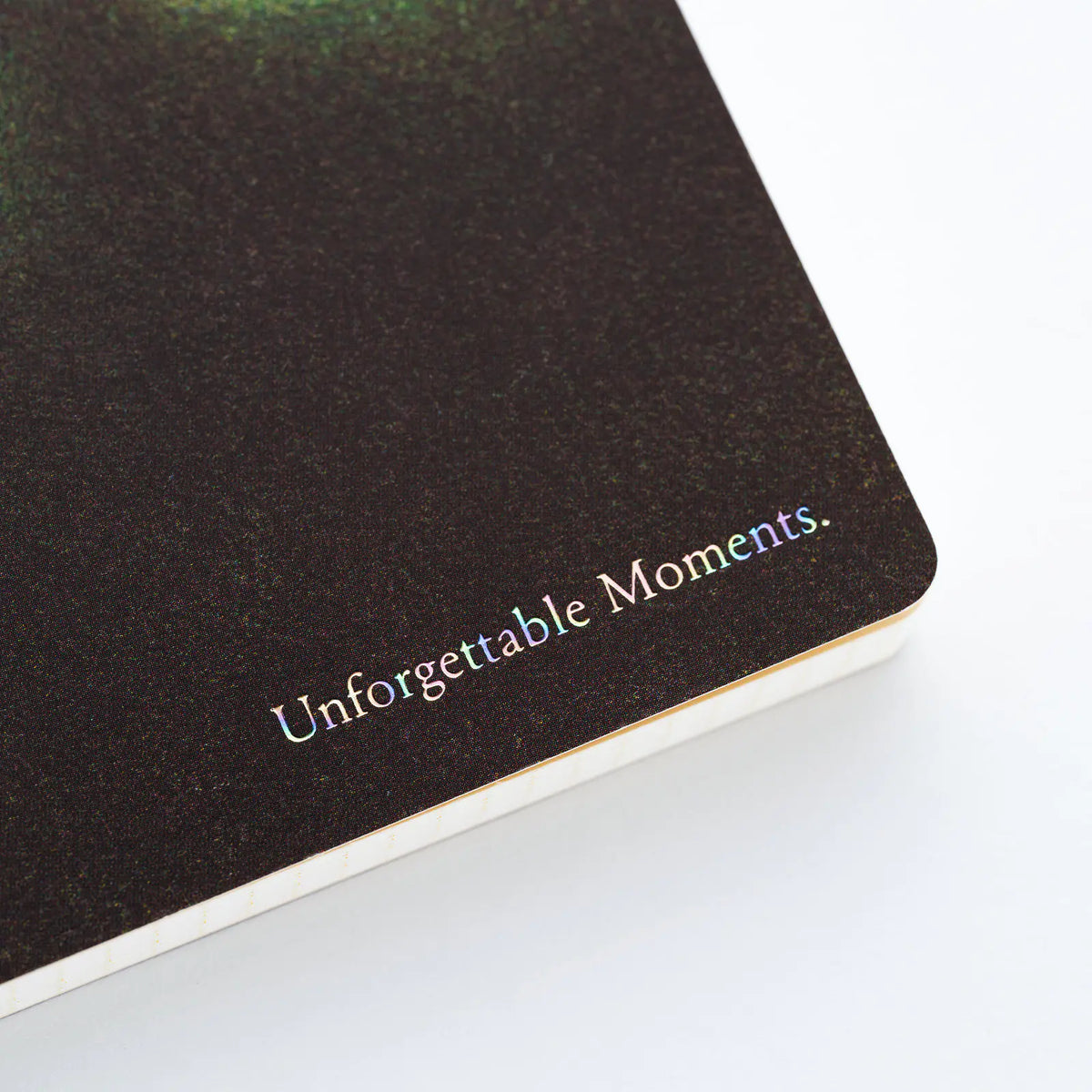 Cuaderno Hobonichi Landscape de Akiko Miyakoshi — foto 2
