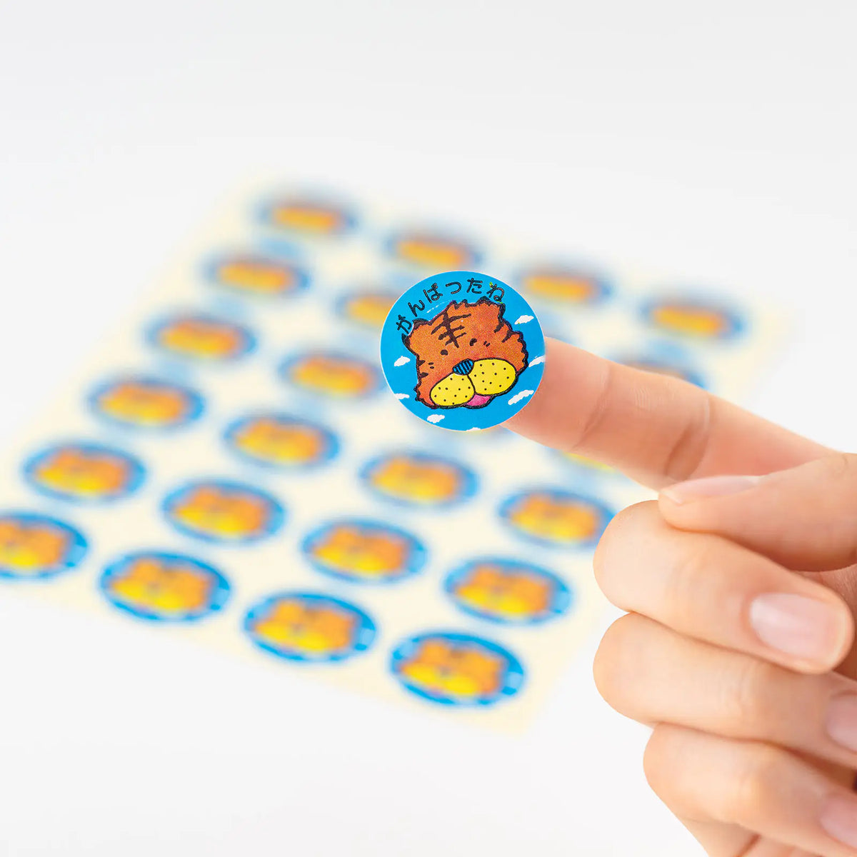 Calcomanías Okina — Palio Stickers — foto 3