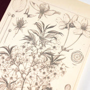 Agenda Hobonichi Graph Notebook - Yamazakura — foto 3