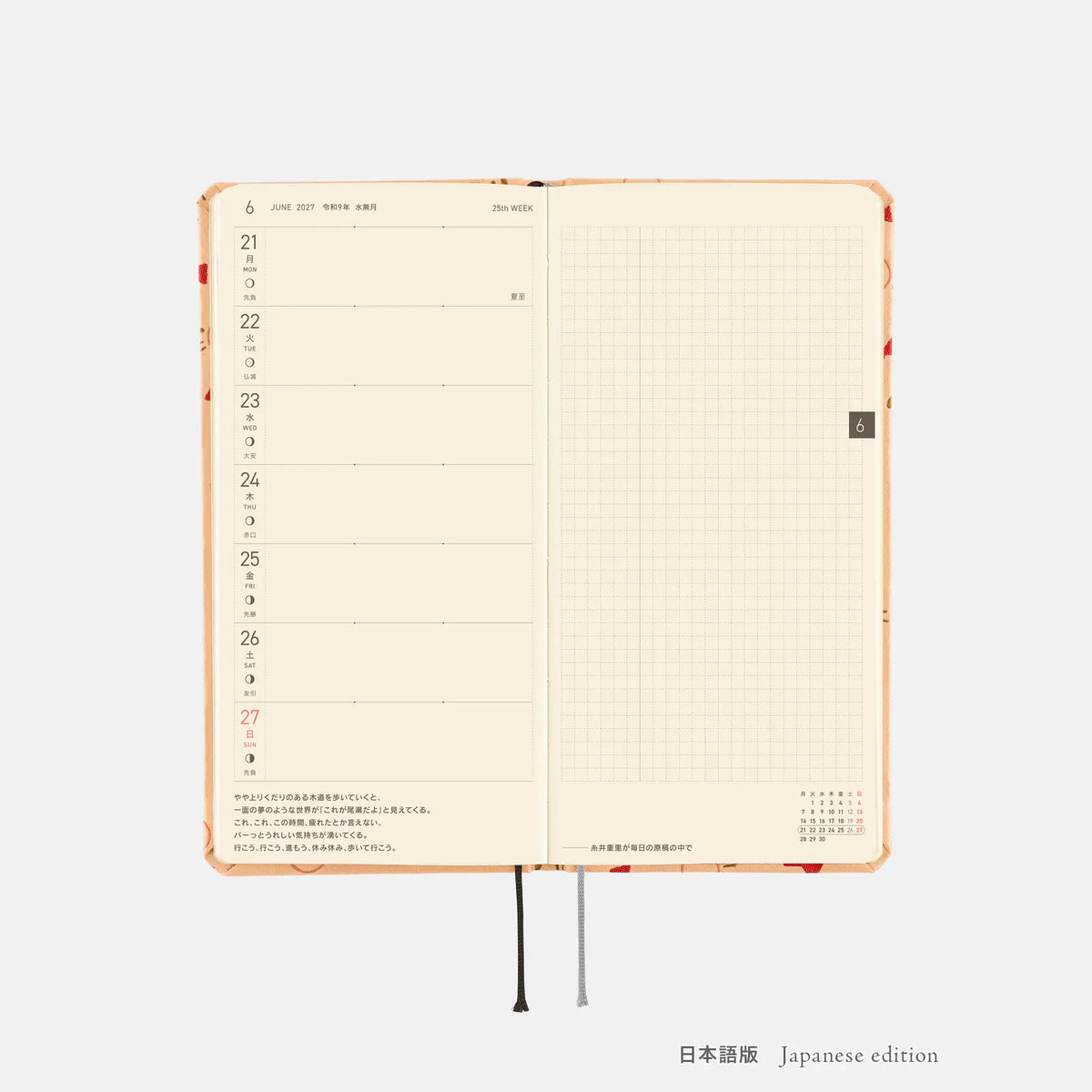 Agenda MOTHER — Mr. Saturn Pattern — Semanales Hobonichi Techo — foto 11