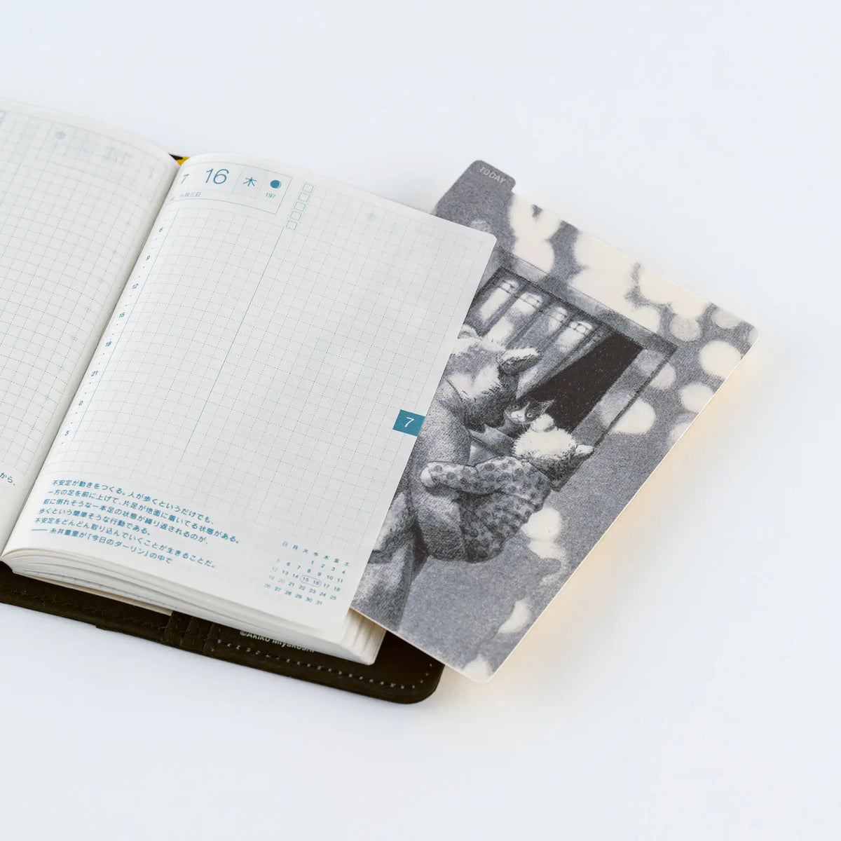 Papelería y accesorios Akiko Miyakoshi — Tabla de lápiz Hobonichi — foto 5