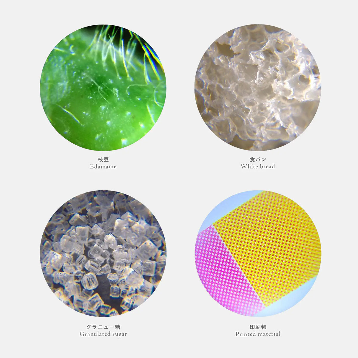 Microscopio portátil Raymay Fujii — Handy Petit Microscope (Azul) — foto 8